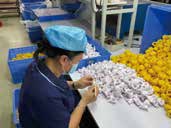 Production
